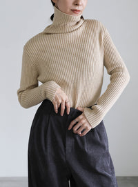 タートルネックリブニット