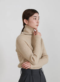 タートルネックリブニット