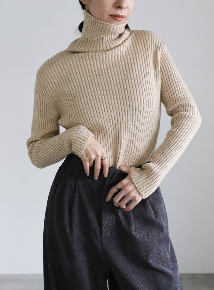タートルネックリブニット