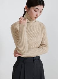 タートルネックリブニット