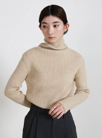 タートルネックリブニット