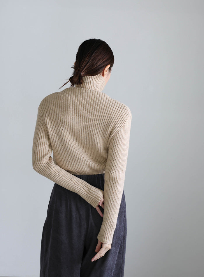 タートルネックリブニット