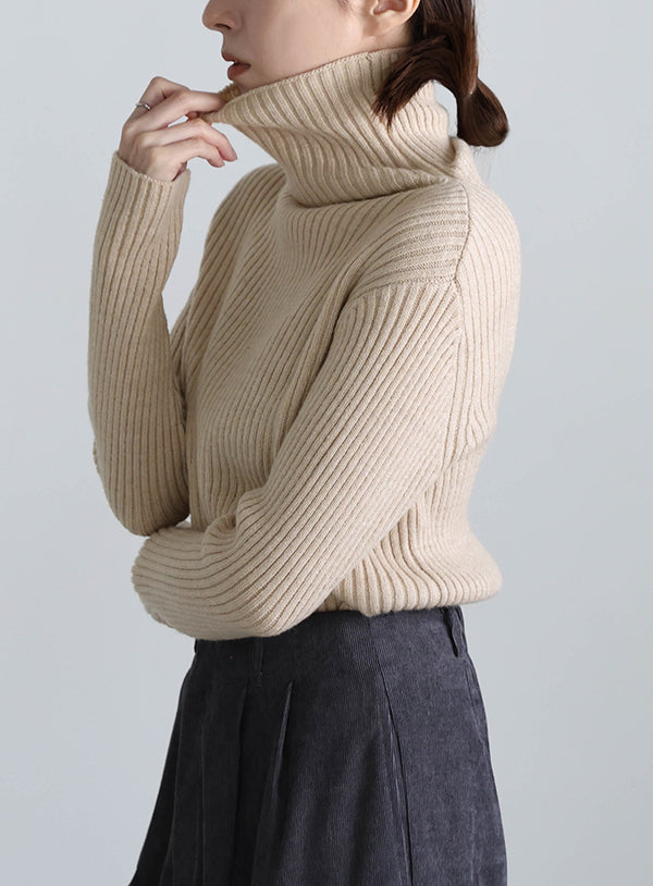 タートルネックリブニット