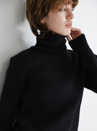 タートルネックリブニット