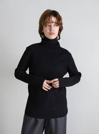 タートルネックリブニット