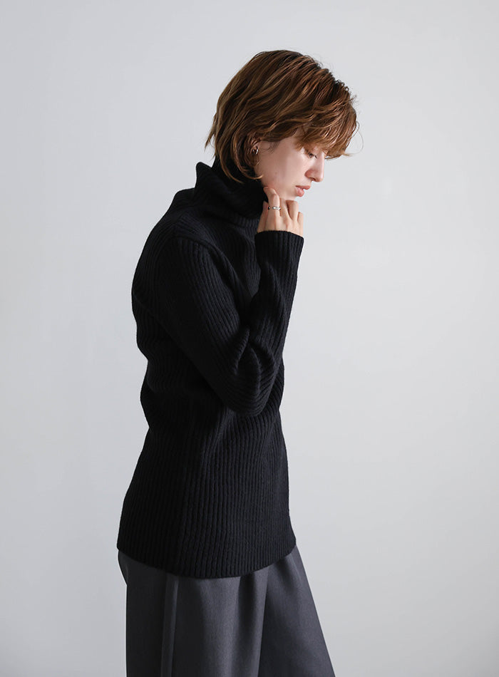 タートルネックリブニット