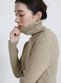 タートルネックリブニット