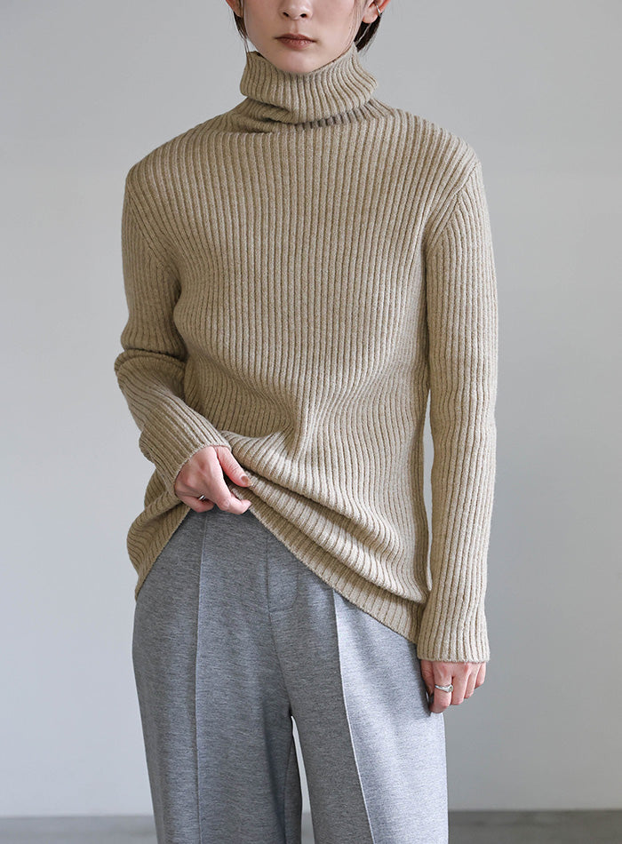 タートルネックリブニット