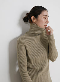 タートルネックリブニット