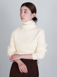 タートルネックリブニット