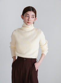 タートルネックリブニット