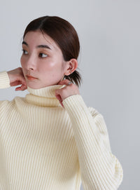 タートルネックリブニット