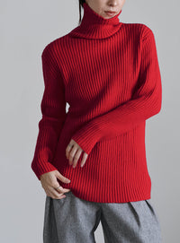 タートルネックリブニット