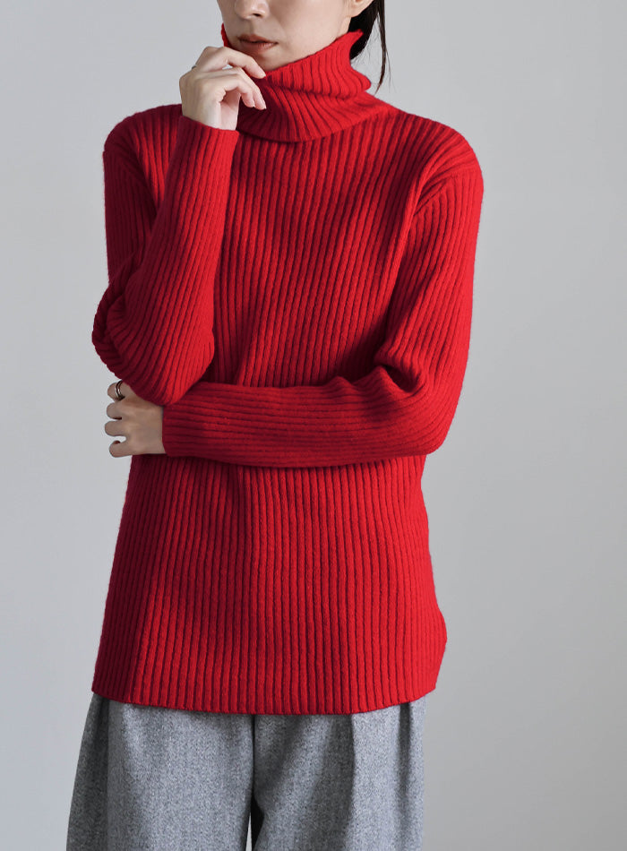 タートルネックリブニット