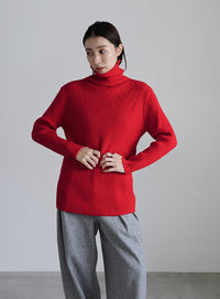 タートルネックリブニット