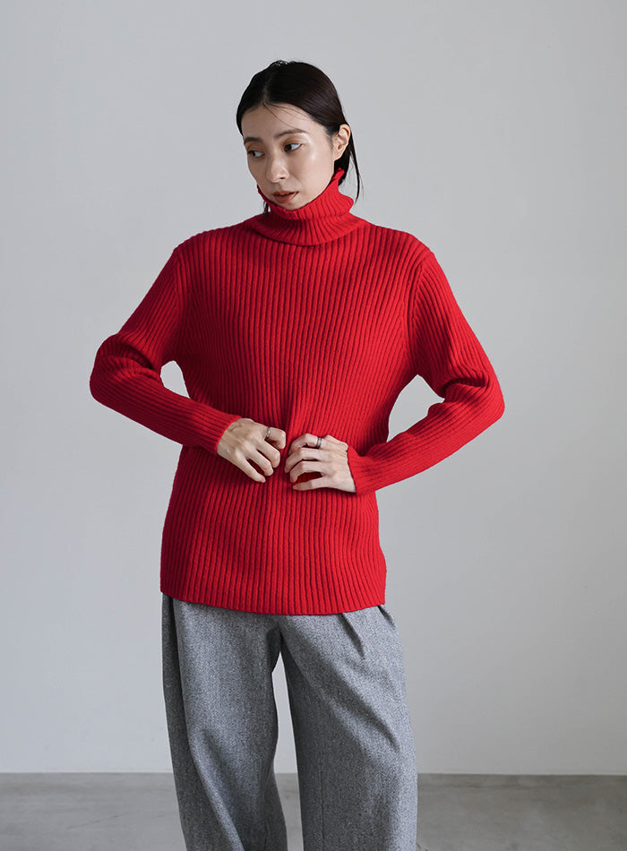 タートルネックリブニット