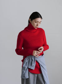 タートルネックリブニット