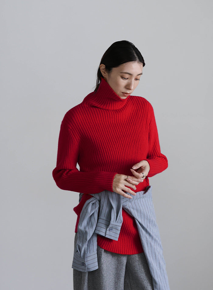タートルネックリブニット