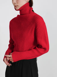 タートルネックリブニット