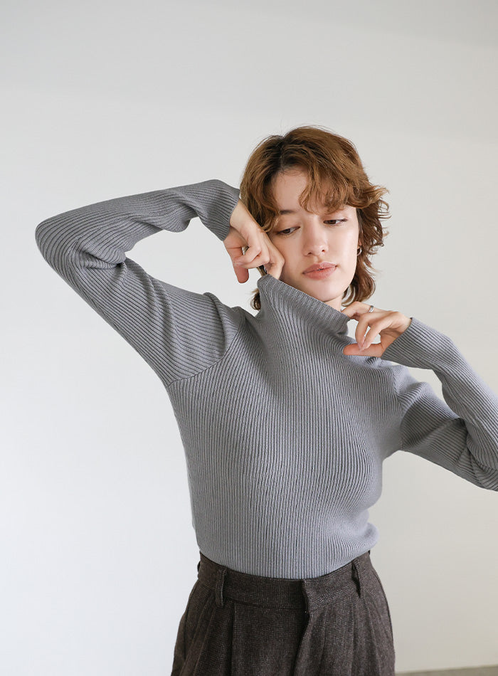 プチハイネックリブニット