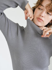 プチハイネックリブニット