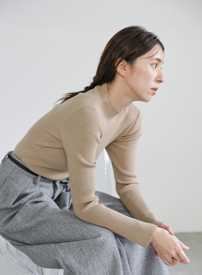 プチハイネックリブニット