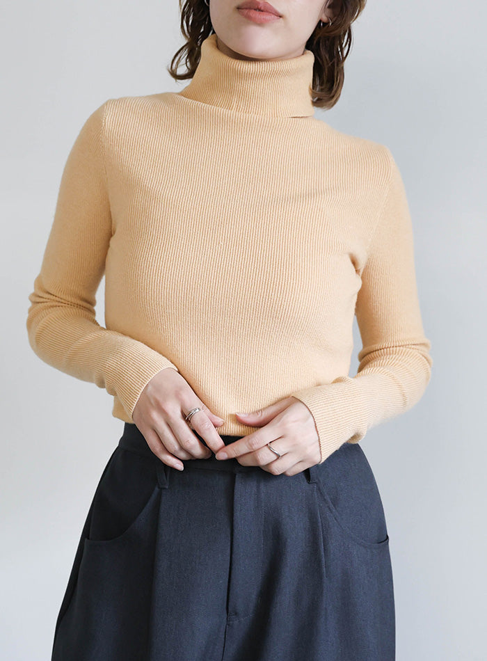 タートルネックソフトタッチリブニット