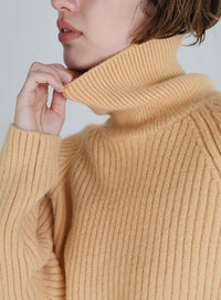 タートルネックラウンドリブニット