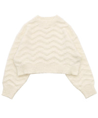 ウェーブデザインショートニット【SALE】