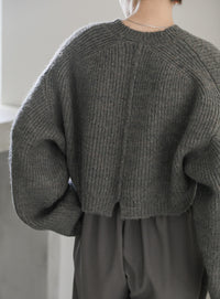 ウールライクショートニット