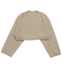 ウールライクショートニット