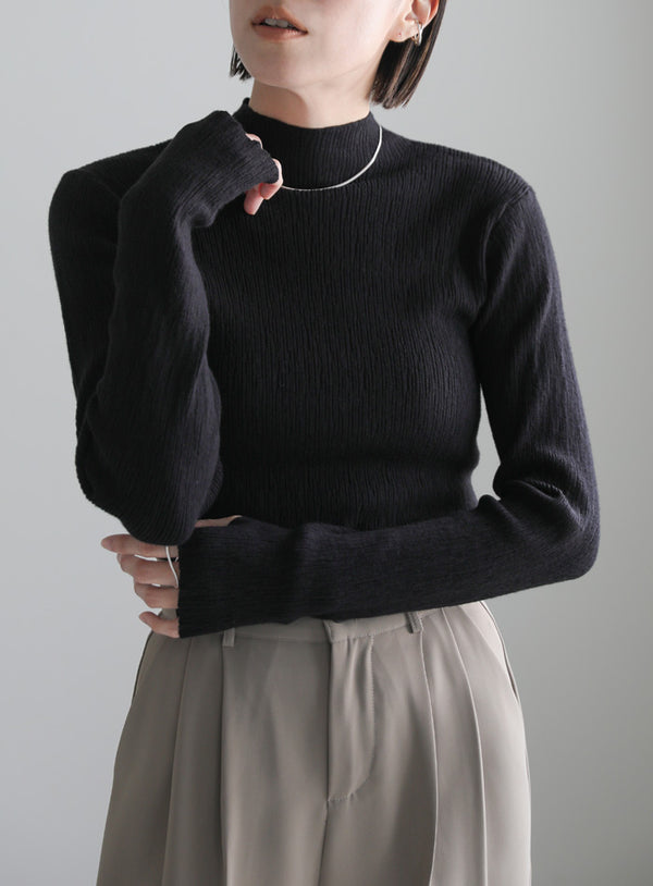 ニュアンスリブプチハイネックトップス