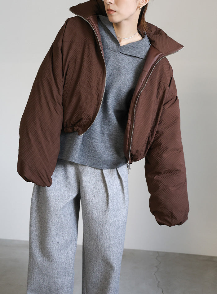 チェックスタンドカラーショートダウン