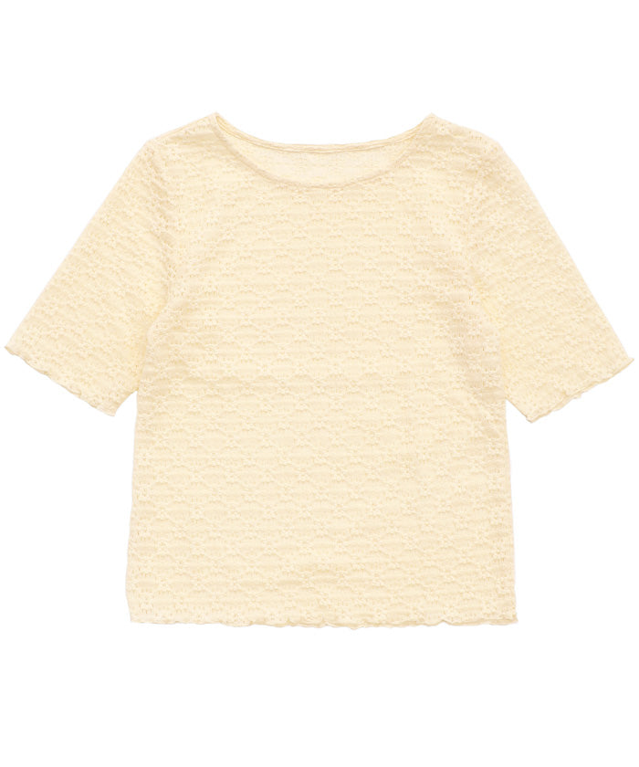レースジャガードハーフスリーブトップス【SALE】 – SELECT MOCA