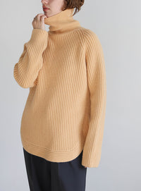 タートルネックラウンドリブニット