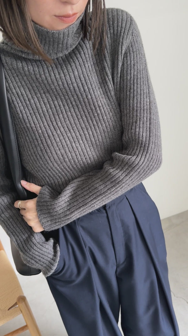 タートルネックリブニット