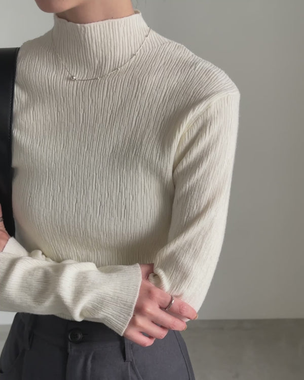 ニュアンスリブプチハイネックトップス